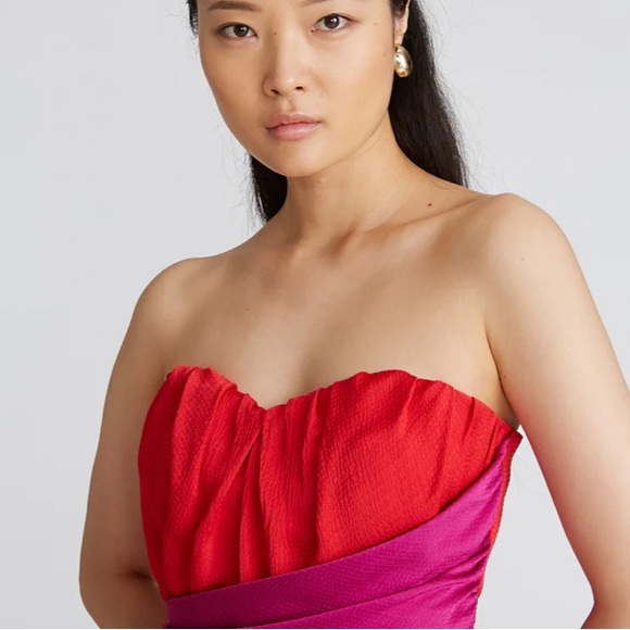 NWT Amur Matilda Colorblock Bustier ~ Sizes 2 - 14 - Picture 4 of 16